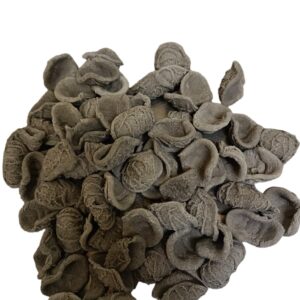 ORECCHIETTE DI GRANO ARSO (500g)